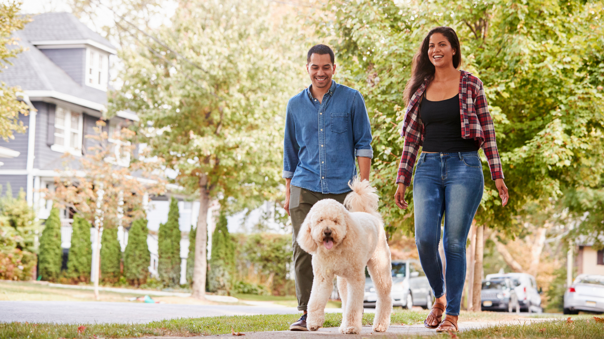 A couple takes a walk together with their full-size poodle on a beautiful sunny day. 
