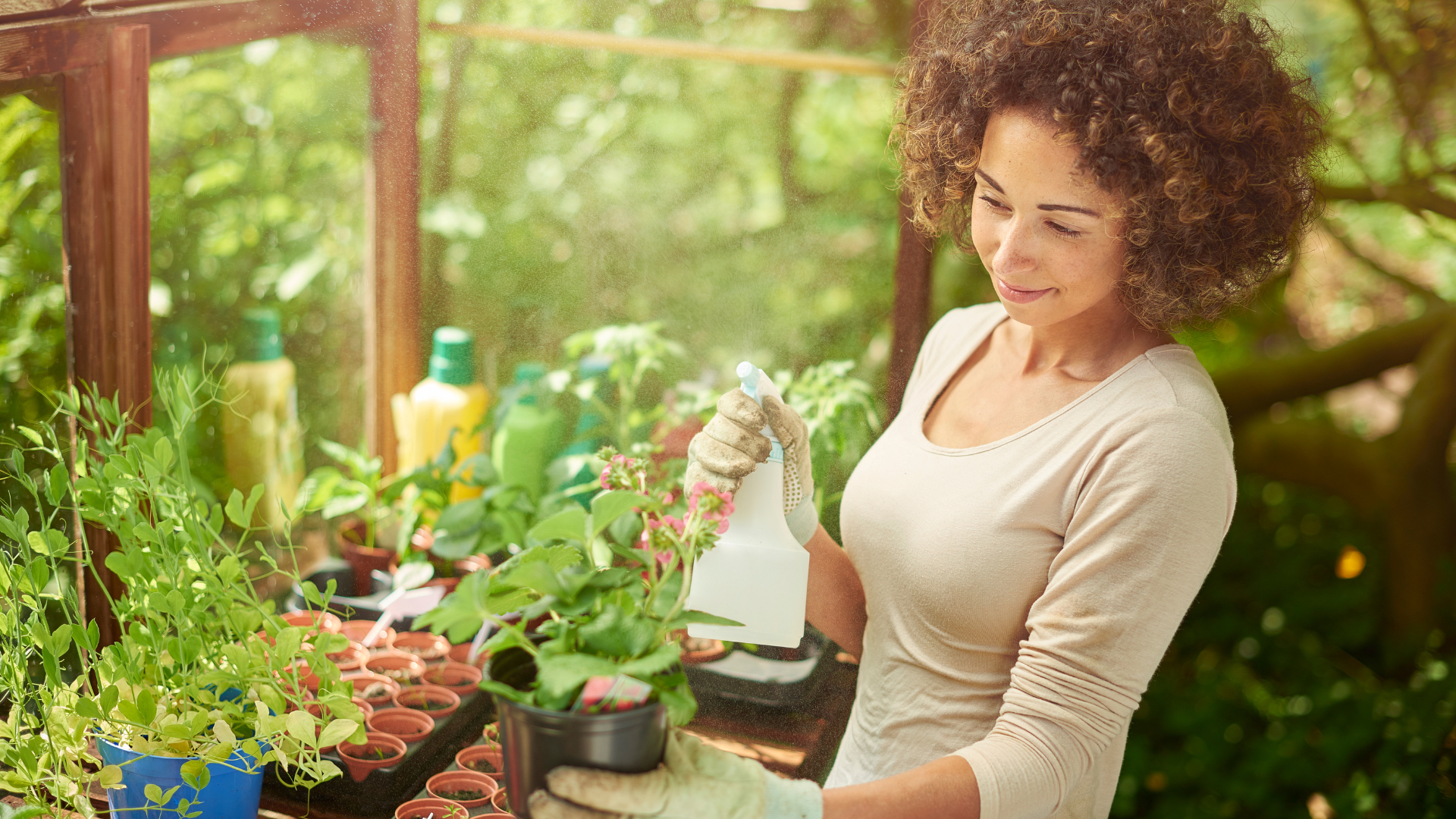 A woman is spraying seedlings with a water bottle. It’s clear that gardening brings her joy.
